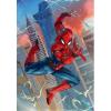 DIAMOND PAINTING SPIDERMAN 20CM X 30CM