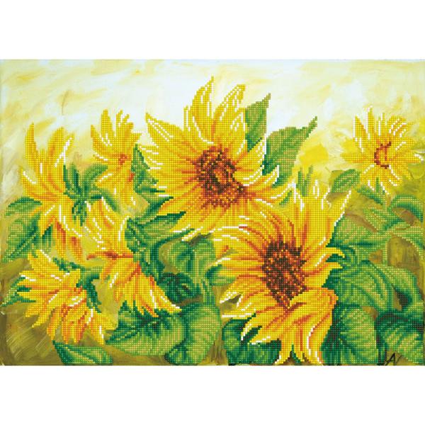dd10.023-1600x1600.jpg