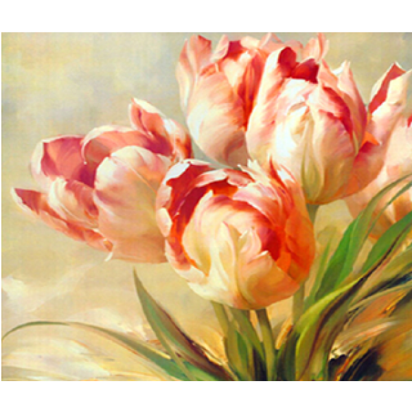 51713C-1200x1200w.png